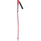 BATONS ROSSIGNOL HERO WC GS/SG
