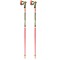 BATONS LEKI WCR SL 3D
