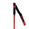 ROSSIGNOL BATONS HERO GS/SG  2023