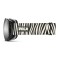 MASQUE DE SKI ZIPPY ZEBRA VOLA