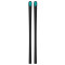 SKI NU RX12 GEANT FACTORY FIS WC KASTLE 2026