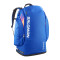SAC DE CHAUSSURES GO TO SNOW SALOMON 50L